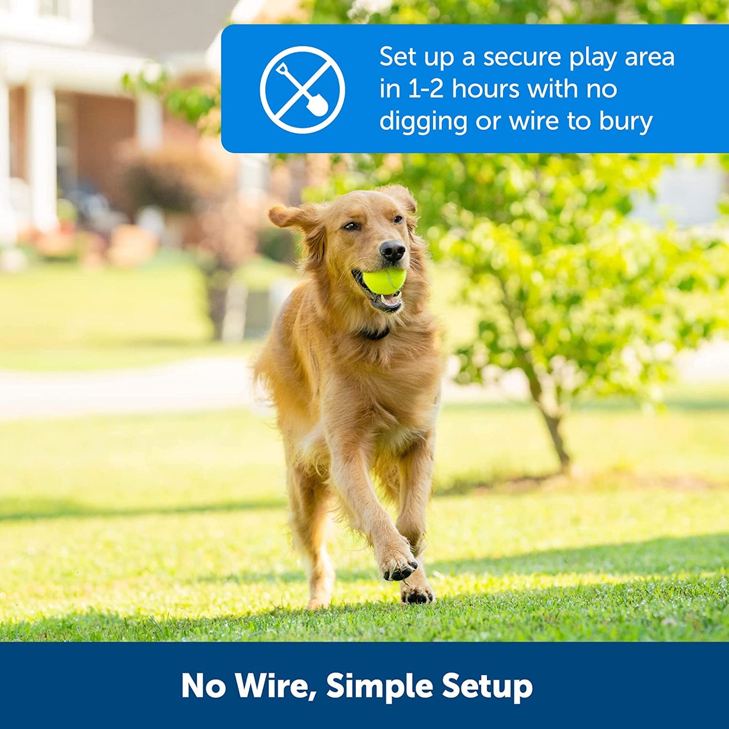 Play Wireless Pet Fence with Replaceable Battery Collar